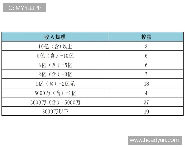 深圳乒乓球队的节奏与发展动态深度解析与未来展望