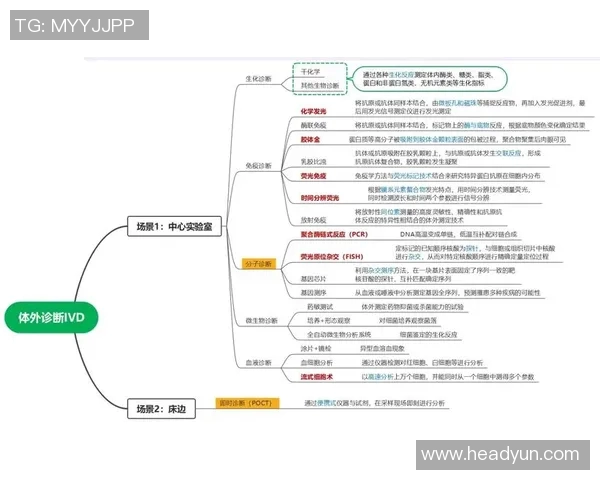 武汉足球队与上海足球队赛后技术分析与战术复盘探讨