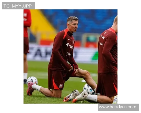 芬兰足球明星的传奇故事与成就探索