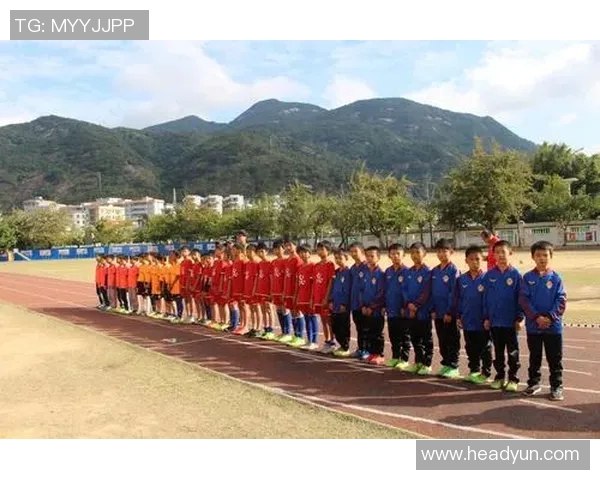 全球足球明星资料汇总与对比分析图表展示