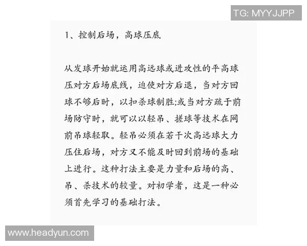 南京羽毛球队区域防守体系解析与战术应用探讨