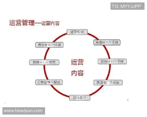 深入分析重庆足球队的运营策略与战术布局探讨
